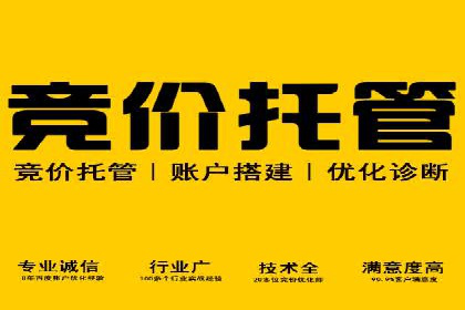百度竞价创意素材制作技巧：案例分析及优化建议